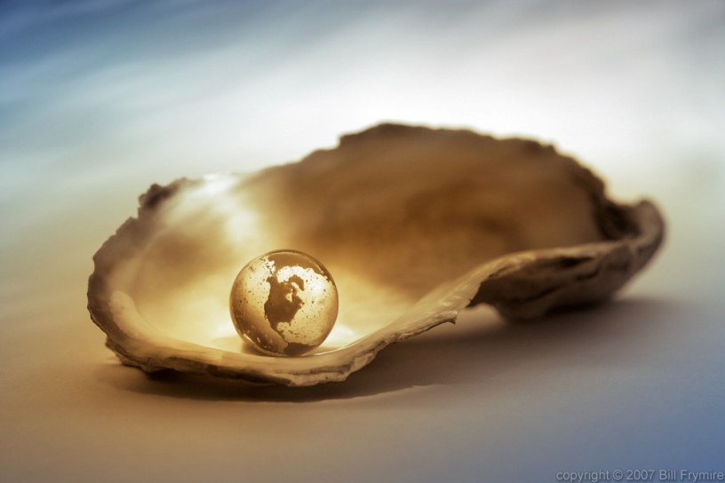 The world is your oyster still life